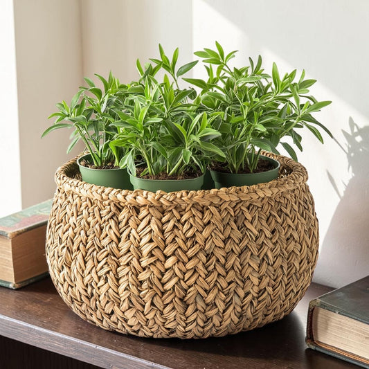 Qwfkz Handwoven Natural Seagrass Storage Basket